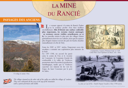 Mine-12